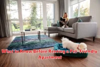 What to Know Before Renting a Pet-Friendly Apartment What to Know Before Renting a Pet-Friendly Apartment